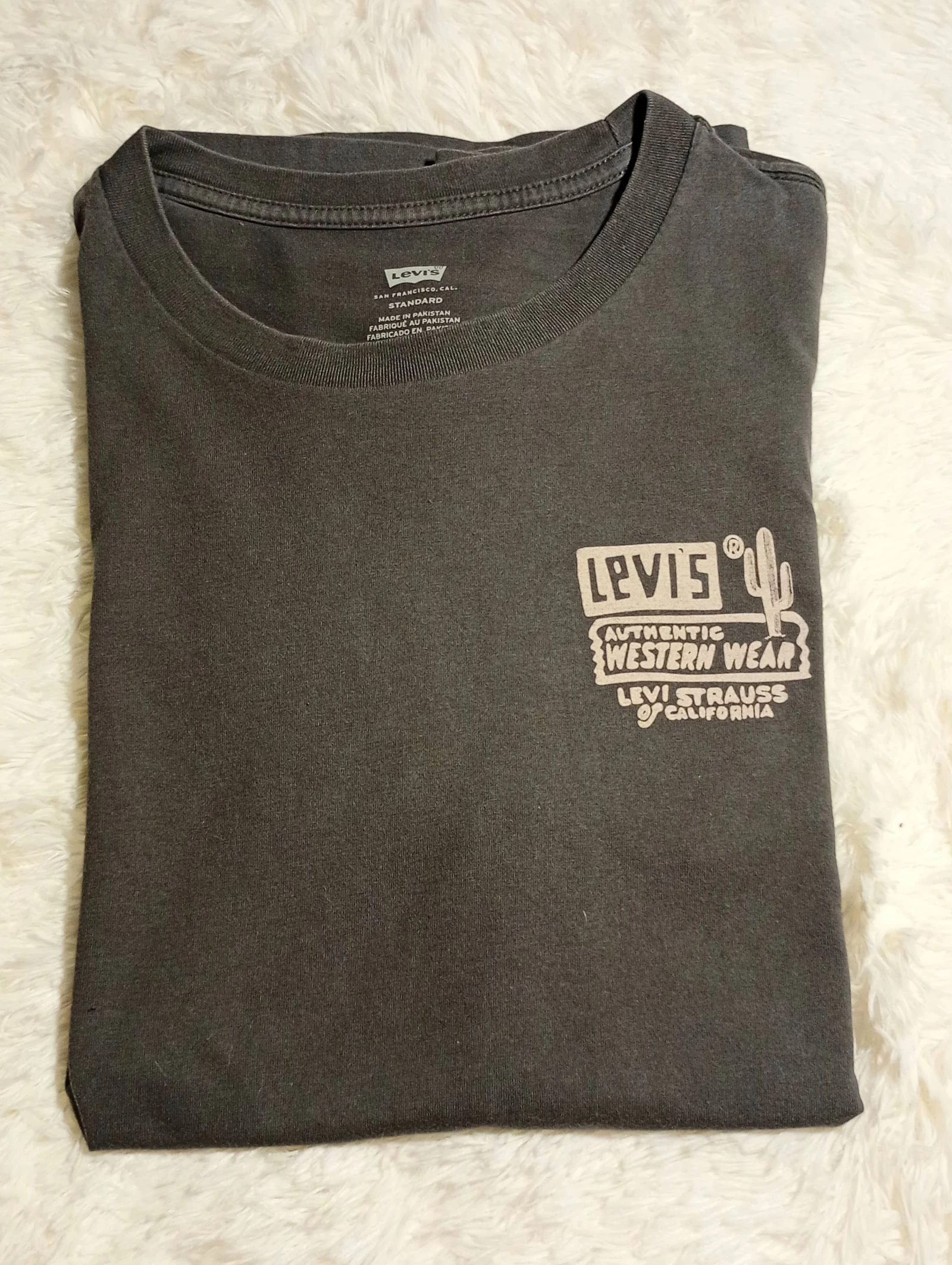 Levi's Cactus Logo T-Shirt Cinza Escuro - Tamanho Médio M – photo 9